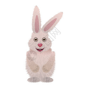 可爱的兔子拉比毛装饰了纹身可爱的兔子拉比毛矢量器在白色背景上被隔离图片