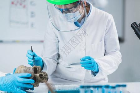 年轻女考古学家在代DNA实验室分析人类头骨生物考古学家分析实验室中的古人类骨骼背景图片