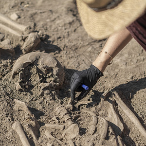 考古学挖掘古代人类遗骸在考古址安装挖掘工具箱图片