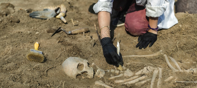 考古挖掘人类遗骸在古墓中发现背景图片