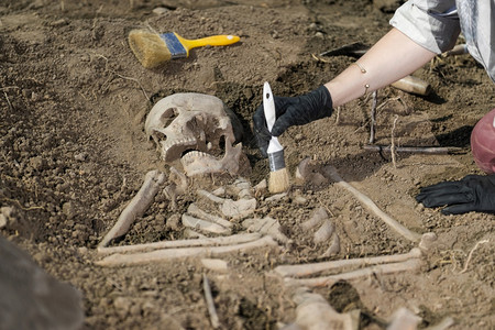 考古挖掘人类遗骸在古墓中发现背景图片