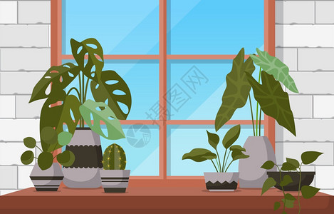 绿色装饰植物窗楼图片