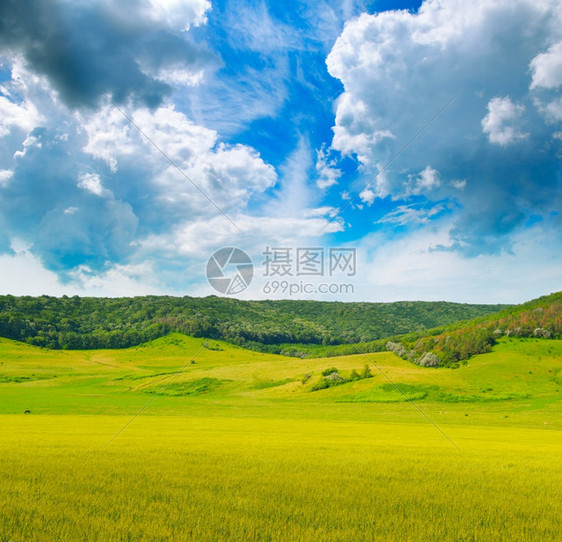 小麦田地和乡村风景相片式的山坡地区图片