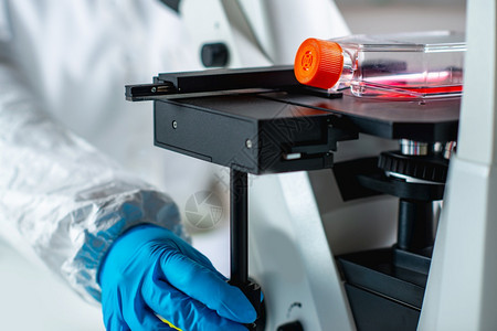 生物技术工程师检查细胞培养瓶图片