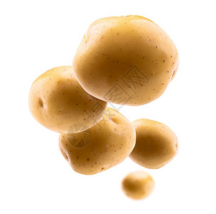 金马铃薯在白色背景上飘黄马铃薯在白色背景上飘背景图片