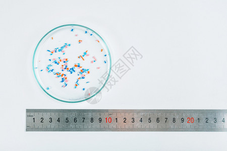 Petri饭中的微塑料环境科学概念PetriDish中的微塑料图片