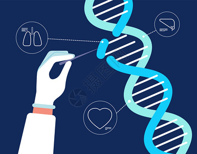 Dna分析GenereCISprcas9生物化学农业医工程人类基因突变研究染色体病媒背景研究dna生物技术工程分析图解图片