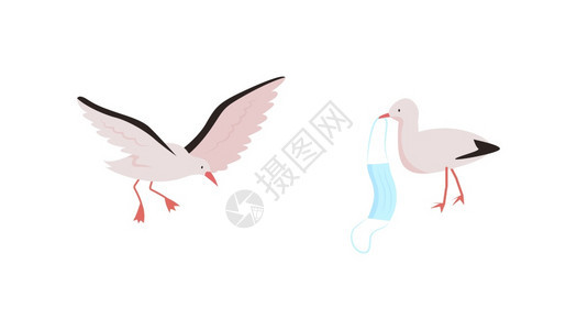 鸟类平板彩色矢量字符集新冠感染的结果白血病环境污染与生态灾难作斗争的孤立漫画插图用于网络形设计和动画包图片
