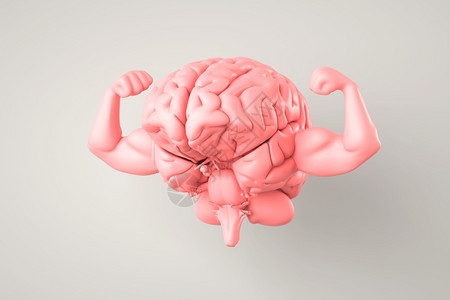 3D插图健康和强壮的大脑图片
