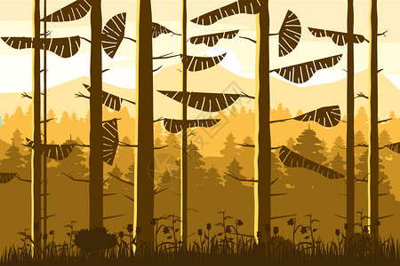松木林秋天的林木秋日的林山插画