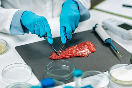 红肉食品安全和质量检验实室技术员采集牛肉样本关闭食品安全和质量控制检测红肉图片