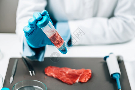 红肉食品质量控制对测试管中牛肉样本的感应评估图片