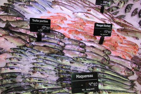 法国当地鱼市场上的鳟马加罗和山羊图片