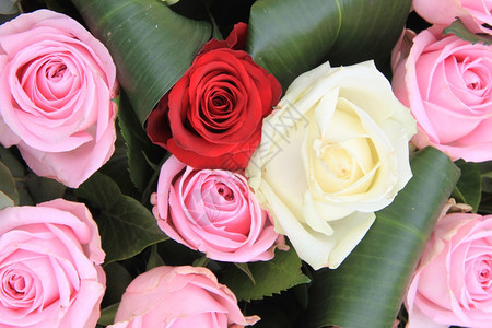 红白粉玫瑰花混合束图片
