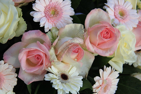 混合花安排中的粉红玫瑰和黄花图片