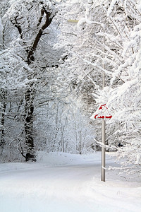 雪覆盖了道路和林中的霜冻树木图片