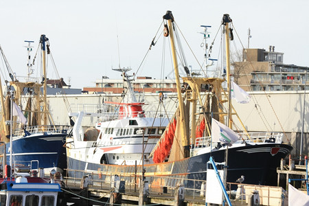 港口的几艘拖网渔船图片