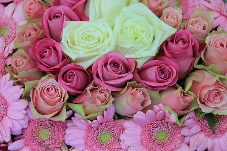 鲜花白和粉红安排玫瑰和杂花图片