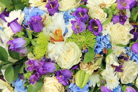 白玫瑰和蓝色紫花在婚安排中图片