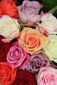 花朵以不同明亮的颜色混合布丽达克花束的玫瑰图片