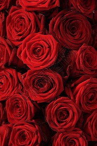 大红玫瑰在花的婚礼安排中背景图片