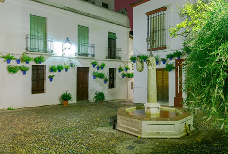 白墙上花盆中的朵和夜间西班牙传统院子中的喷泉安达卢西亚班牙科尔多瓦西班牙传统院子图片