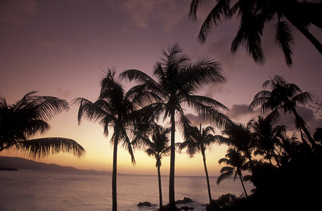 科摩罗大陆非洲印度洋昂儒岛科摩罗儒莫亚村海岸的景观图片