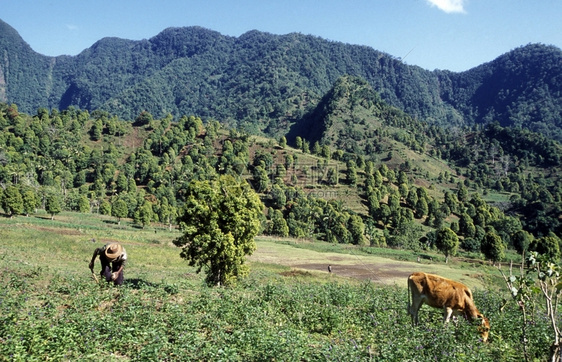 AfricaCoNOROSANJOOHAN非洲大陆印度洋的科摩罗内陆昂儒岛山地景观图片