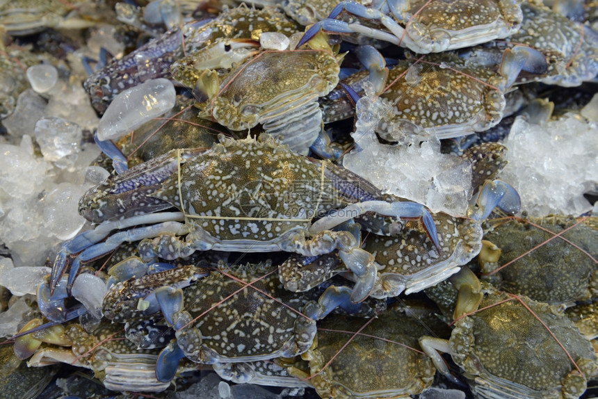 泰国南部东亚的普吉岛市日的螃蟹海产食品xA图片
