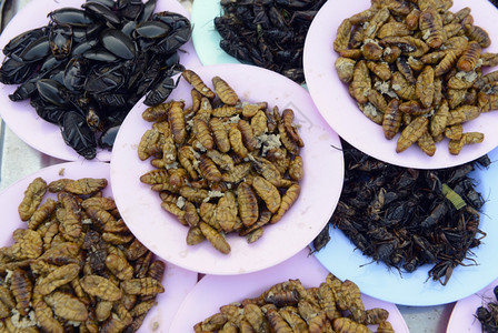 泰国东北部伊桑地区乌邦拉契塔尼西北部安纳特查伦省安纳特查伦市市场上的昆虫图片
