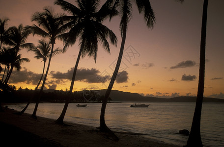 a在拉丁美洲加勒比海的多米尼加萨马纳翁岛的中美洲加勒比海LasTerranas村海滩图片