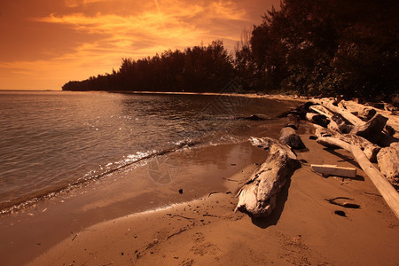 a文莱达鲁萨兰国BandarseriBegawan市附近沿海东南亚婆罗洲的海滩图片