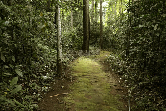 在泰国北部的东南亚泰国山北面的梅洪松道索邦村附近潘马法洞穴图片