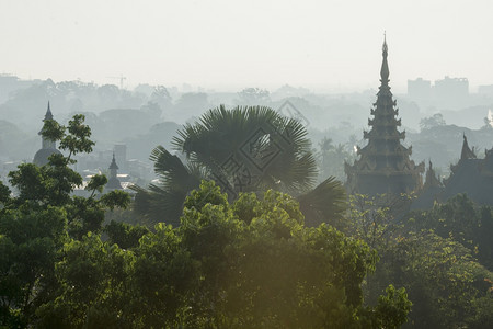 东南亚缅甸仰光市的瑞旺加贡帕亚塔四面环绕的风景图片