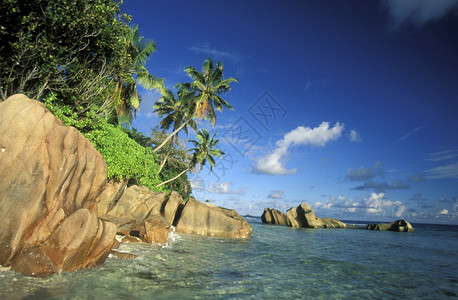 a海岸滩如果是印度海中环礁群岛的屿拉迪格图片