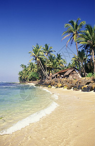 位于斯里兰卡西海岸的希卡杜瓦海滩斯里兰卡希卡杜瓦海滩背景图片
