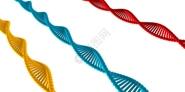 DNA链螺旋简单抽象背景为白色DNA链图片