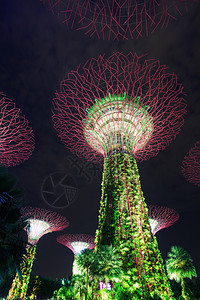 新加坡晚上在海湾旁的花园灯光照亮的夜晚图片