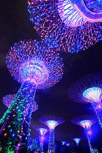 夜晚花园新加坡晚上在海湾旁的花园灯光照亮的夜晚背景