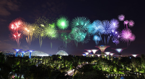 晚上在海湾旁的花园上放着美丽的烟花晚上亮着灯光新加坡图片