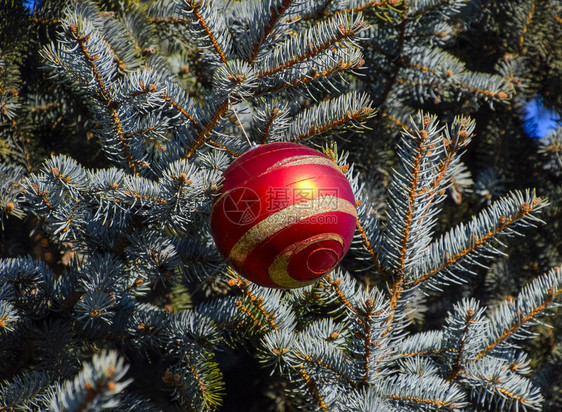 圣诞树上的小叮当玩具球和其他装饰品露天新年树的装饰品新年树的装饰品圣诞树上的小叮当球和其他装饰品露天图片