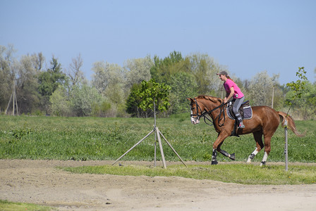 2017年4月8日俄罗斯克拉诺达尔青少年骑马运动俱乐部女孩骑马图片
