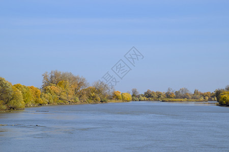 秋天的风景有秋树的河岸岸边的杨树秋天的风景有秋树的河岸树上的杨树图片