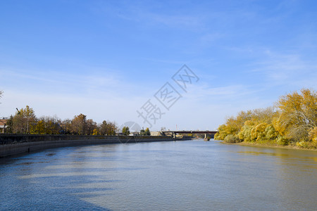 秋天的风景有秋树的河岸岸边的杨树秋天的风景有秋树的河岸树上的杨树图片