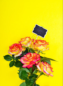 黄色背景上一束玫瑰花上面有空白的黑色符号图片