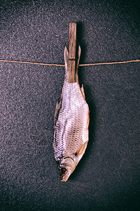 盐咸鱼从尾巴上悬浮在一根带木板的绳索上图片