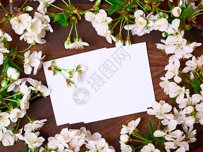 白纸在棕色木背景的鲜花樱枝间顶视图图片