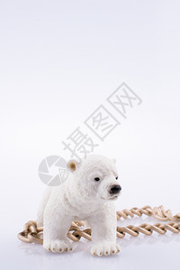 基因链条北极熊幼和白色背景的链条背景
