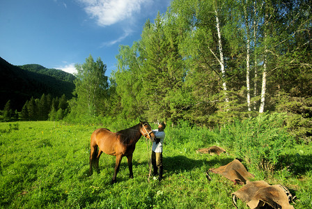 2016年月9日俄罗斯阿尔泰奥洛夫村马匹人行走和放牧图片