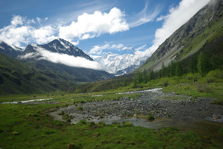 山地峰峡谷坡上的石块高地山坡上的石块高清图片